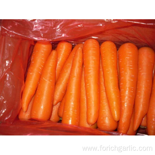 Different Sizes Different Weights Fresh Carrot